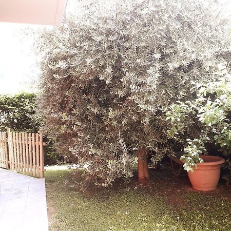 Santa Giuletta Beb Ulivo Bed & Breakfast エクステリア 写真